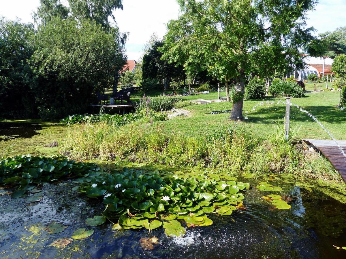 "Balmgarten" Im Naturpark Usedom, Bio Solarhaus Mit Grossem Garten Exterior foto